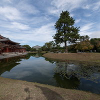 2526_japan2025_byodoin_vr_004