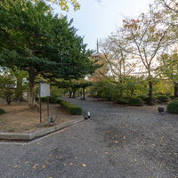2526_japan2025_toji_vr_006