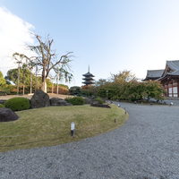 2526_japan2025_toji_vr_008